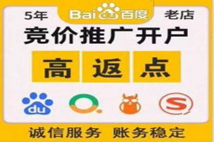 某某sem推广公司助力某科技企业实现产品推广突破
